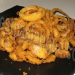 onion rings_photo site